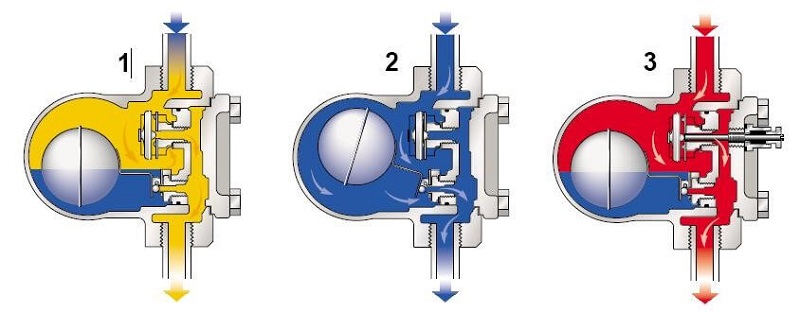 Mặt cắt và nguyên lý hoạt động của bẫy hơi dạng phao