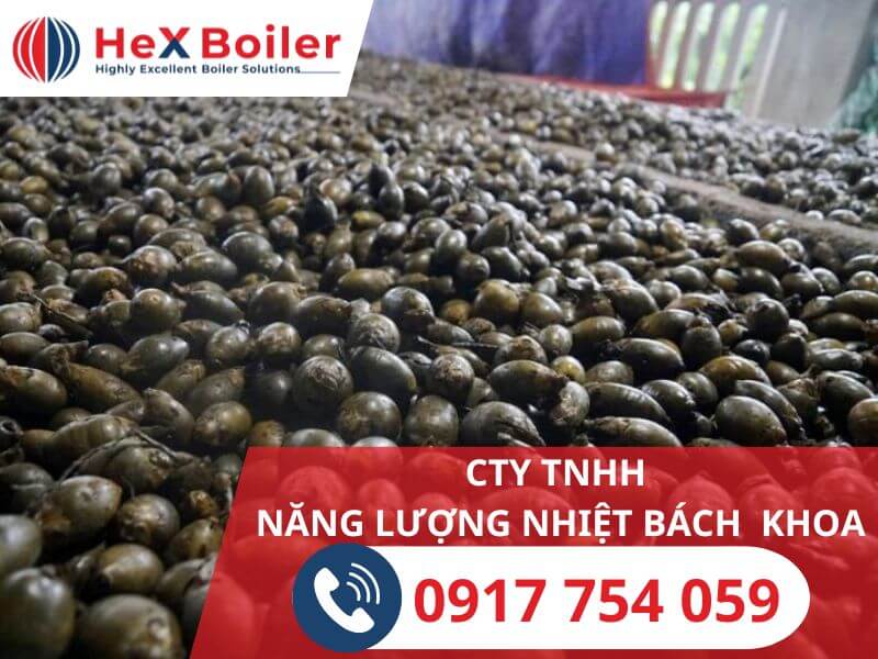 cau được sấy khô bằng công nghệ