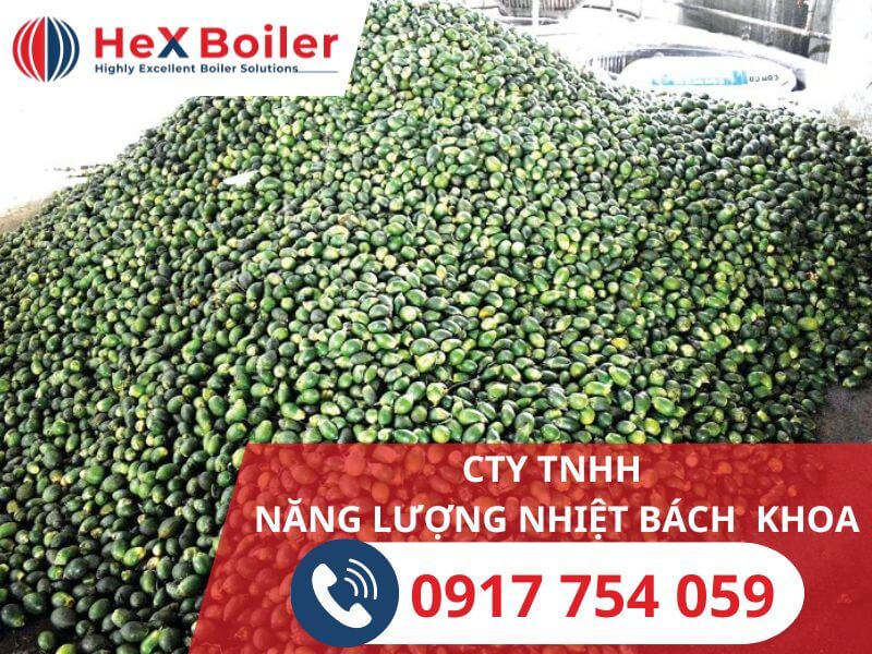 Cau sấy có chất lượng tốt