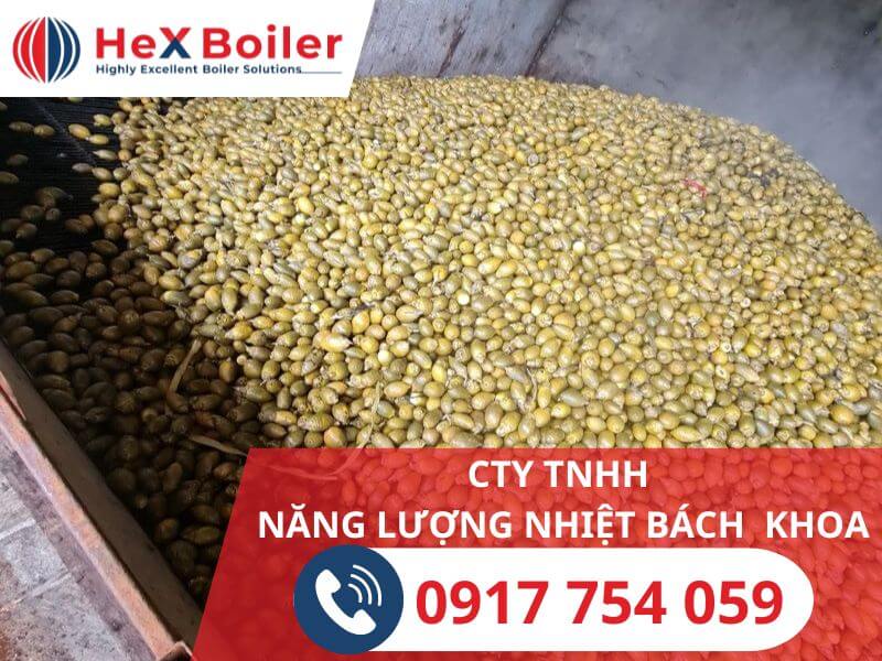 cau trong hầm sấy