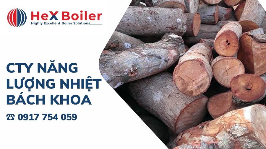 củi đốt <a href='https://hex-boilers.com/'>lò hơi</a>