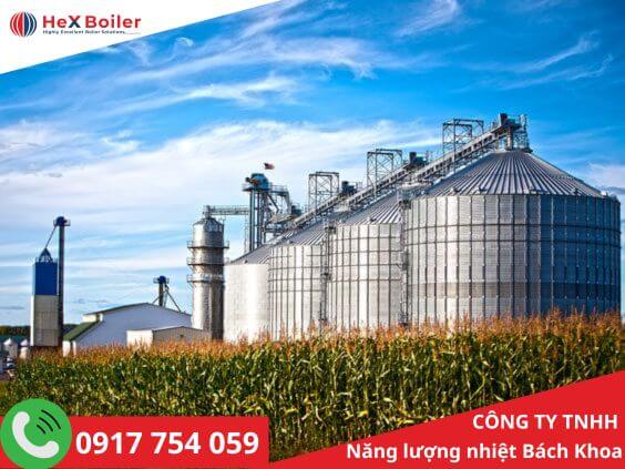 Sấy nông sản bằng <a href='https://hex-boilers.com/'>lò hơi</a>