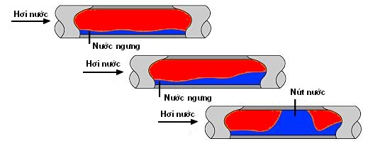 Sự hình thành túi nước