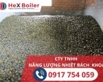 Giới thiệu về lò sấy cau hơi nước