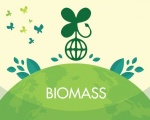 Biomass là gì? - 3 lợi ích thiết thực của Biomass