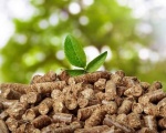 Lò hơi biomass sử dụng công nghệ đốt tầng sôi để tối ưu chi phí nhiên liệu