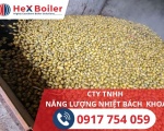 Công nghệ sấy cau bằng hơi nước mang lại hiệu quả kinh tế cao