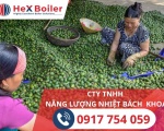 Tầm quan trọng của hệ thống sấy cau khô